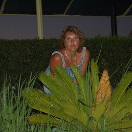 , 53, 