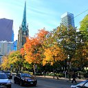 ���� ����, ������ - ��������� 11 ����� 2025 � ������ ���� ����������