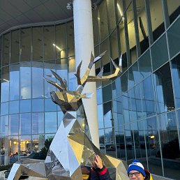 ���� ������, ��������, 33 ���� - ��������� 7 ����� 2025