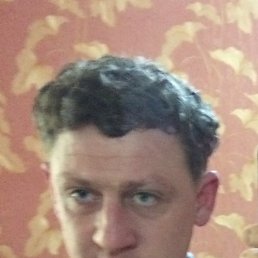 ���������, 43 ����, �������