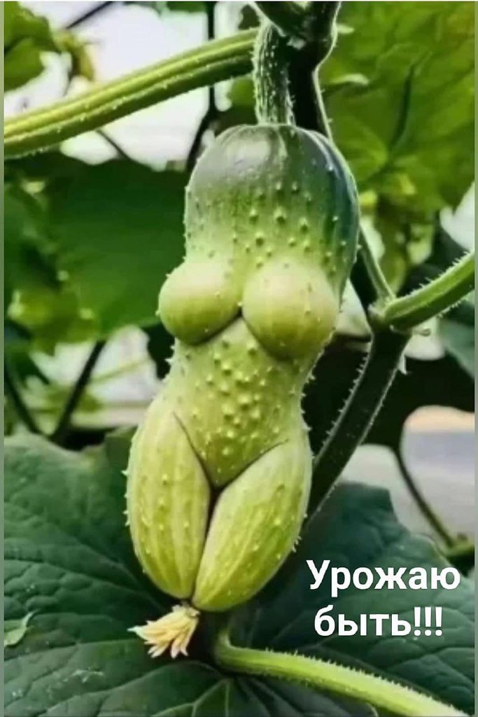   - 23  2025  11:41
