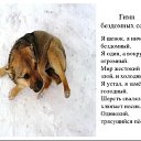 ���� ����, ������, 21 ��� - ��������� 23 ������ 2023 � ������ ������ ��������