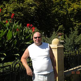 , 64, 