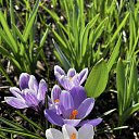 ���� ����, ������ - ��������� 4 ������ 2026