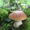 ���� ����, �����������, 67 ��� - ��������� 5 ������� 2024 � ������ ���� ����������