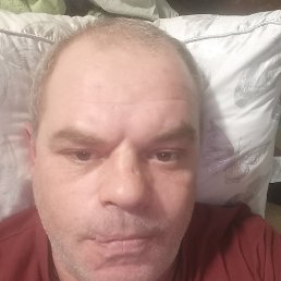 ������, 48 ���, ���