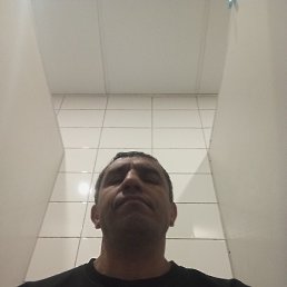 ����, ������, 40 ���