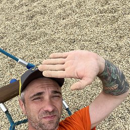 ���� ������, �����-���������, 41 ��� - ��������� 17 ������� 2026