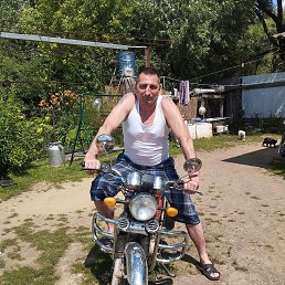 , 29, 
