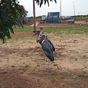 ���� �������, �������, 59 ��� - ��������� 9 ������� 2023 � ������ ���� ����������