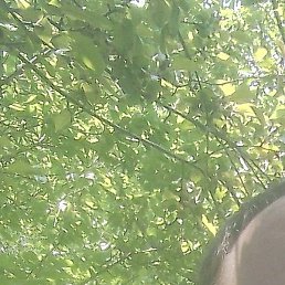 ���������, ������ �����, 45 ���