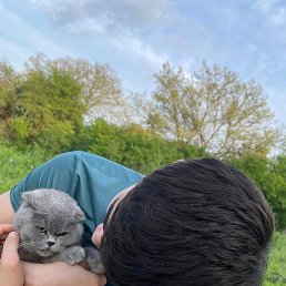 ��������, �������, 27 ���