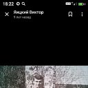 ���� ������, ������, 62 ���� - ��������� 6 ������� 2026 � ������ ���� ����������