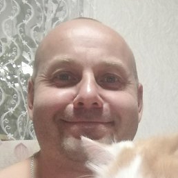 , , 44 