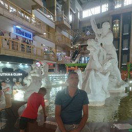 , 40, 