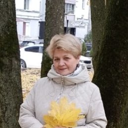 , 67, 