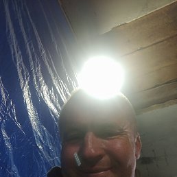  , 38, 