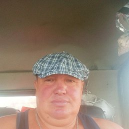 , 52, 