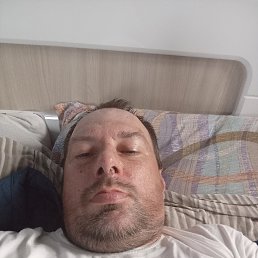 ���� ������, �����, 43 ���� - ��������� 12 ������� 2026