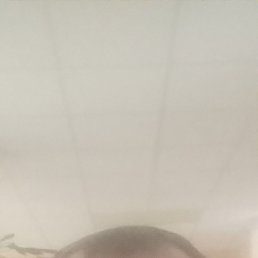 ���� �������, �����-���������, 40 ��� - ��������� 5 ������ 2024