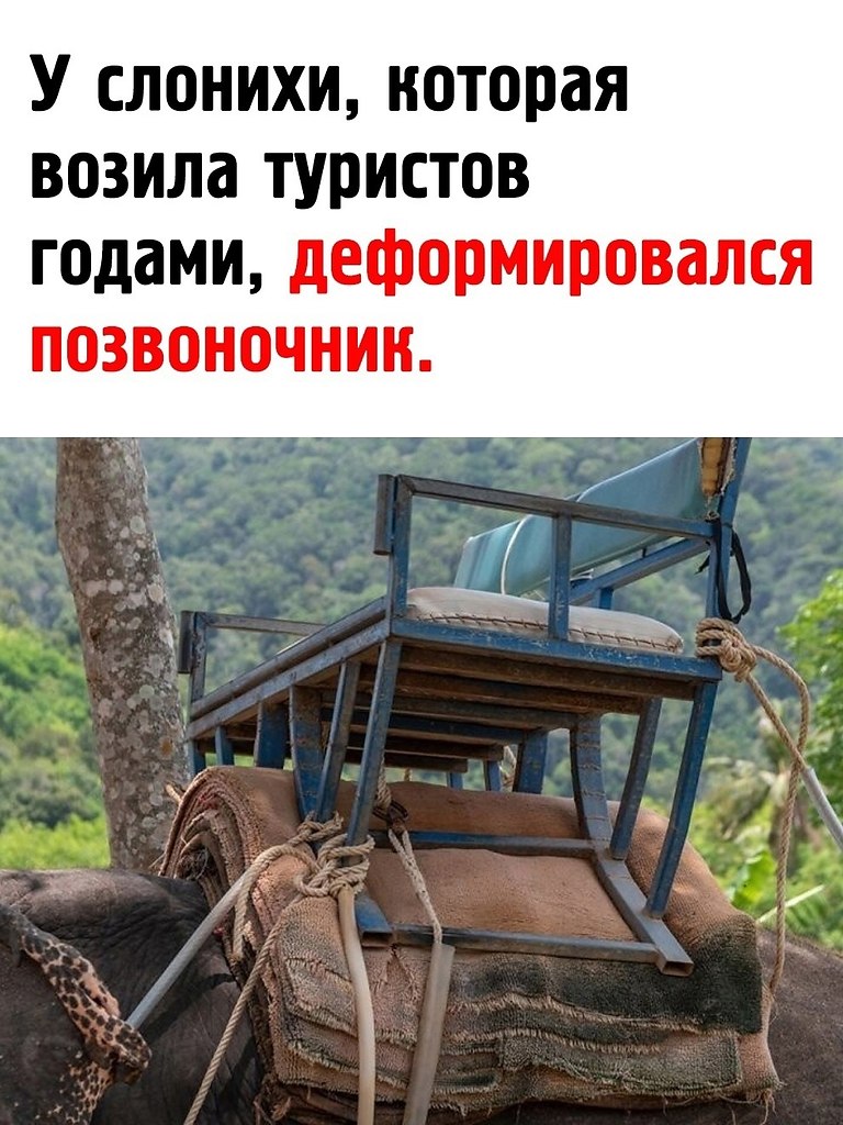 �� ���� ������ ���