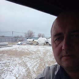 ���������, �������, 46 ���