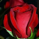 ���� ����, ������, 45 ��� - ��������� 26 ������� 2025 � ������ ���� ����������