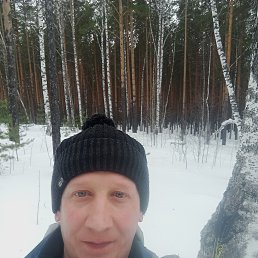 ���������, 37 ���, ��������