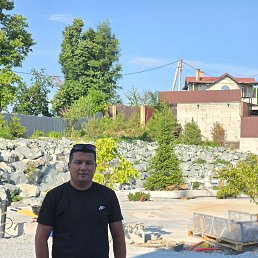 , 33 , 