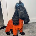 ���� �������� ����, ����� - ��������� 22 ������� 2026 � ������ ������ ��������