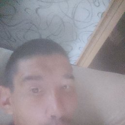 ���� �������, ���, 36 ���