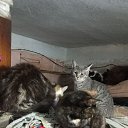 ���� �����, ��������� - ��������� 16 ������� 2025 � ������ ���� ����������