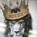 ���� �����, ������, 37 ��� - ��������� 1 ������ 2023 � ������ ���� ����������