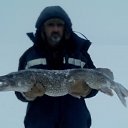 ���� �����, ���������, 57 ��� - ��������� 9 ������� 2025 � ������ ���� ����������