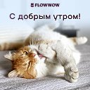 ���� ������, ���������, 52 ���� - ��������� 15 ����� 2026