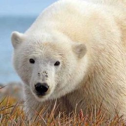 ���� ������, ������, 50 ��� - ��������� 22 ������� 2025