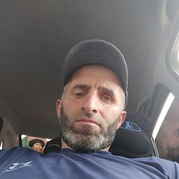 �����, 41 ���, ���������