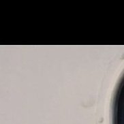 �����, 38 ���, ������