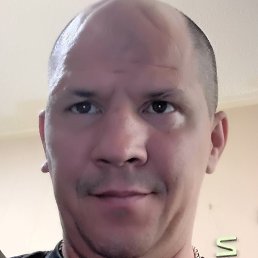 ����, ������, 40 ���
