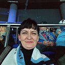 ���� �����, �����������, 46 ��� - ��������� 6 ������ 2026 � ������ ���� ����������