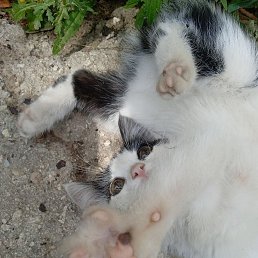 �����, ������, 21 ���