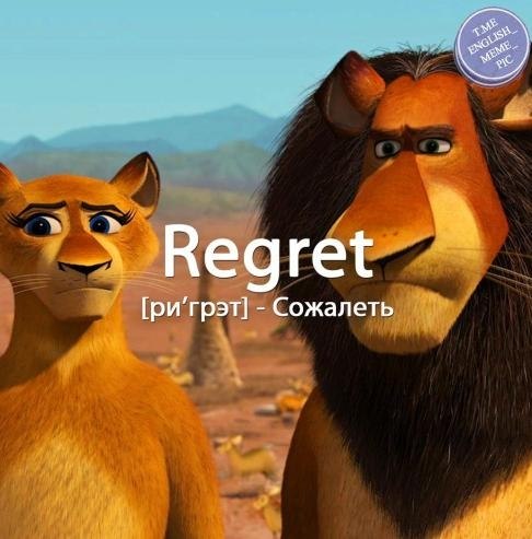 ���������� ���� - 6 ���� 2026 � 13:48