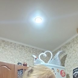 ������� ���������, ���������, 56 ���