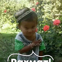 ���� ���������, ���������, 51 ��� - ��������� 17 ������ 2025