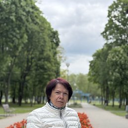 , 54, 