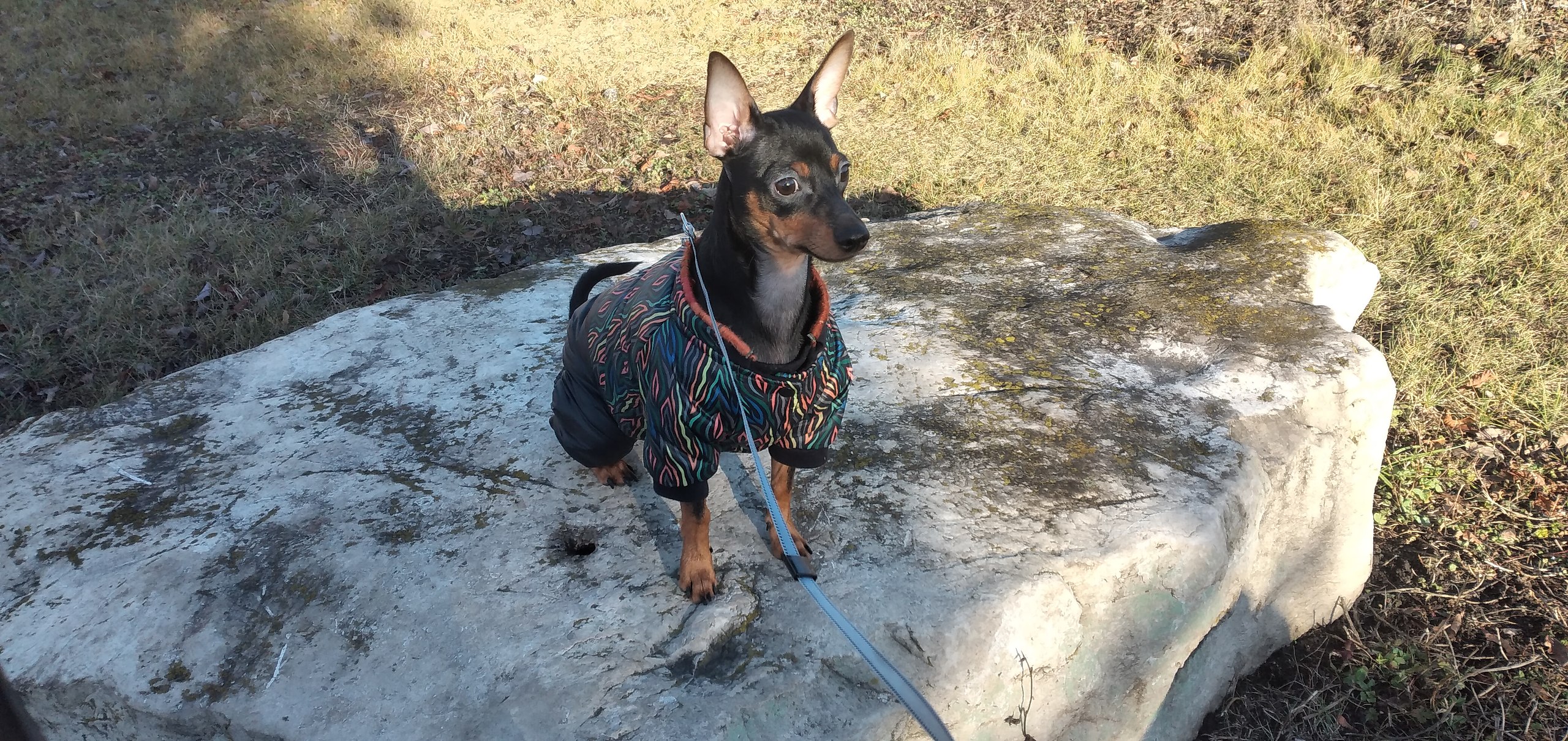 ��� - 17 ������ 2025 � 09:28