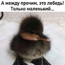 ���� �����, ������, 67 ��� - ��������� 7 ������ 2024 � ������ ������ ��������