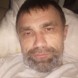 �����, ������, 46 ���