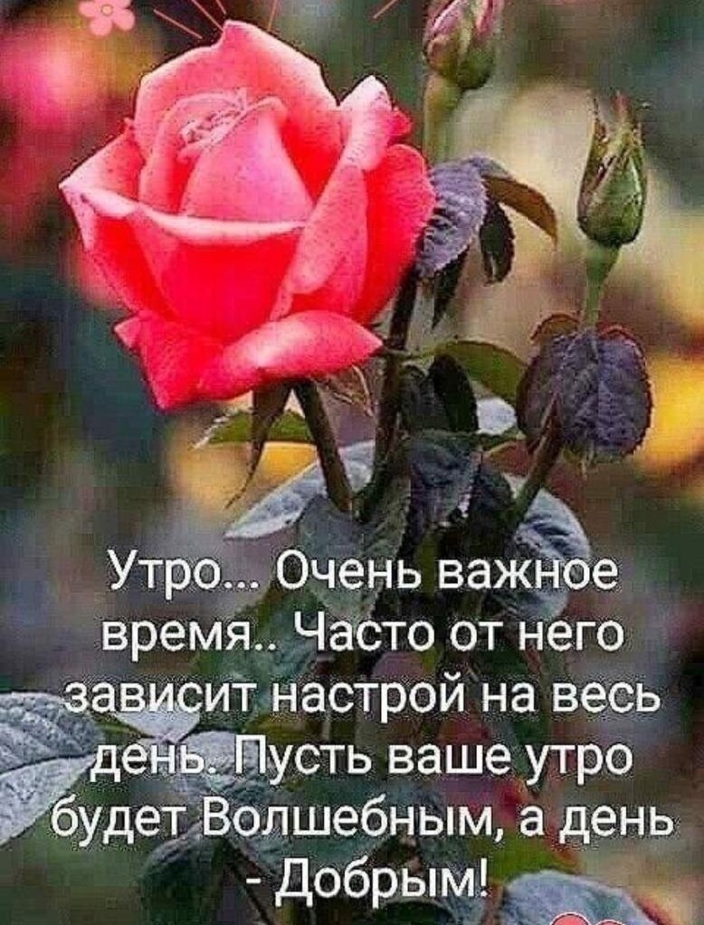 ����������� � ���������, �������� �� ������ ����. - 7 ��� 2026 � 06:28