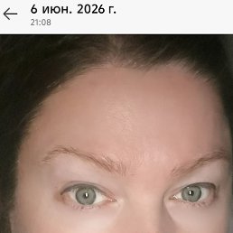 ���� ����, �����, 42 ���� - ��������� 29 ���� 2026